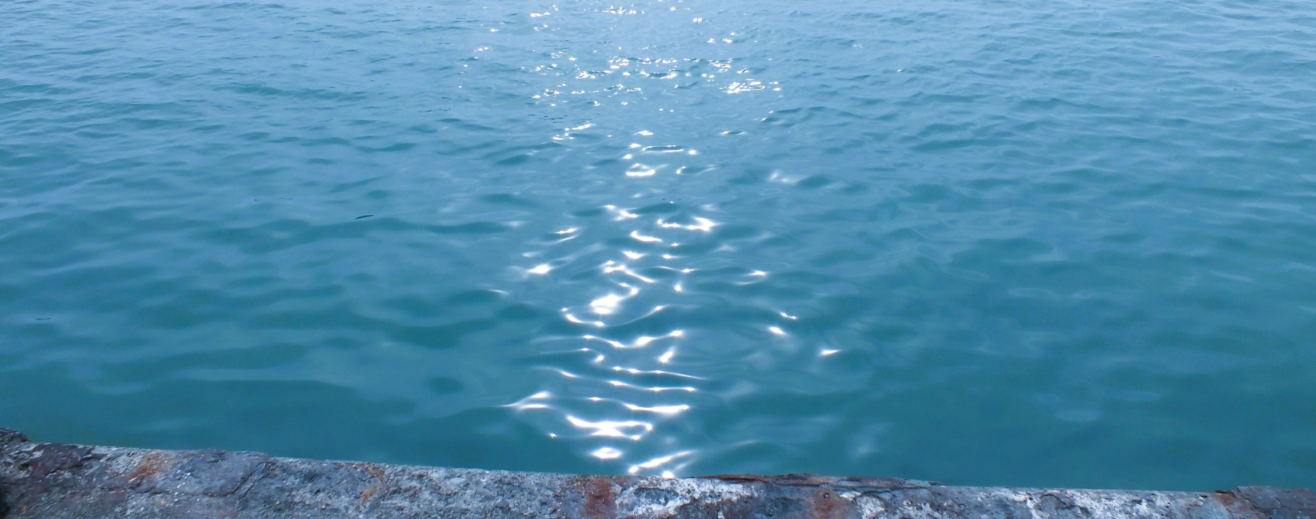 海洋散骨